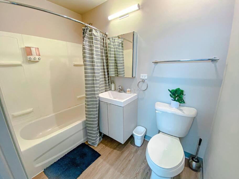 Modern 2Br In South Loop Near Soldier Field, Grant Park, Downtown, & Lakefront Trail Chicago Bagian luar foto